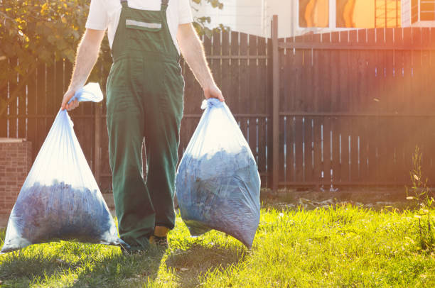 Best Shed Removal  in Lamesa, TX